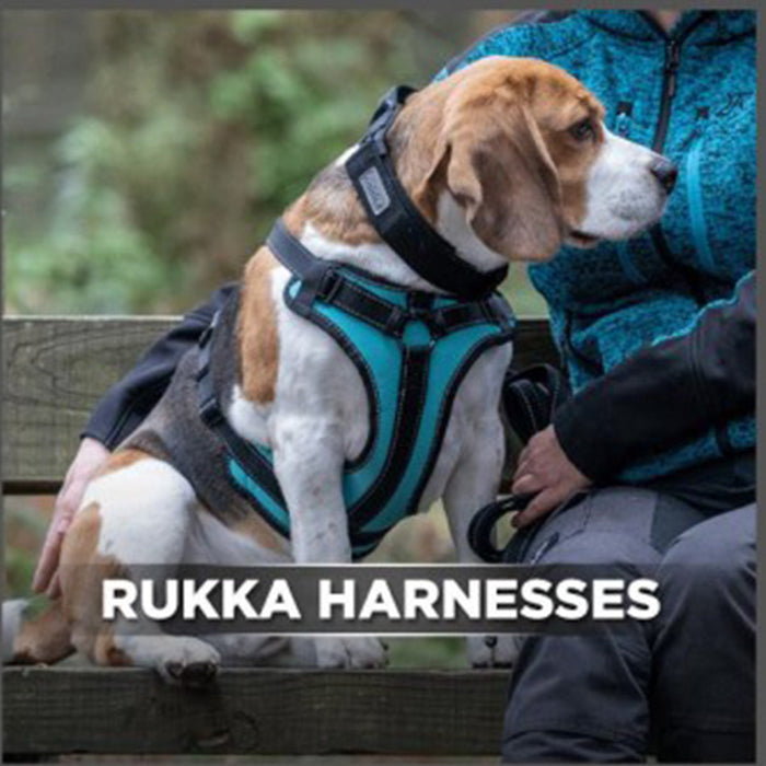 Dog Harness