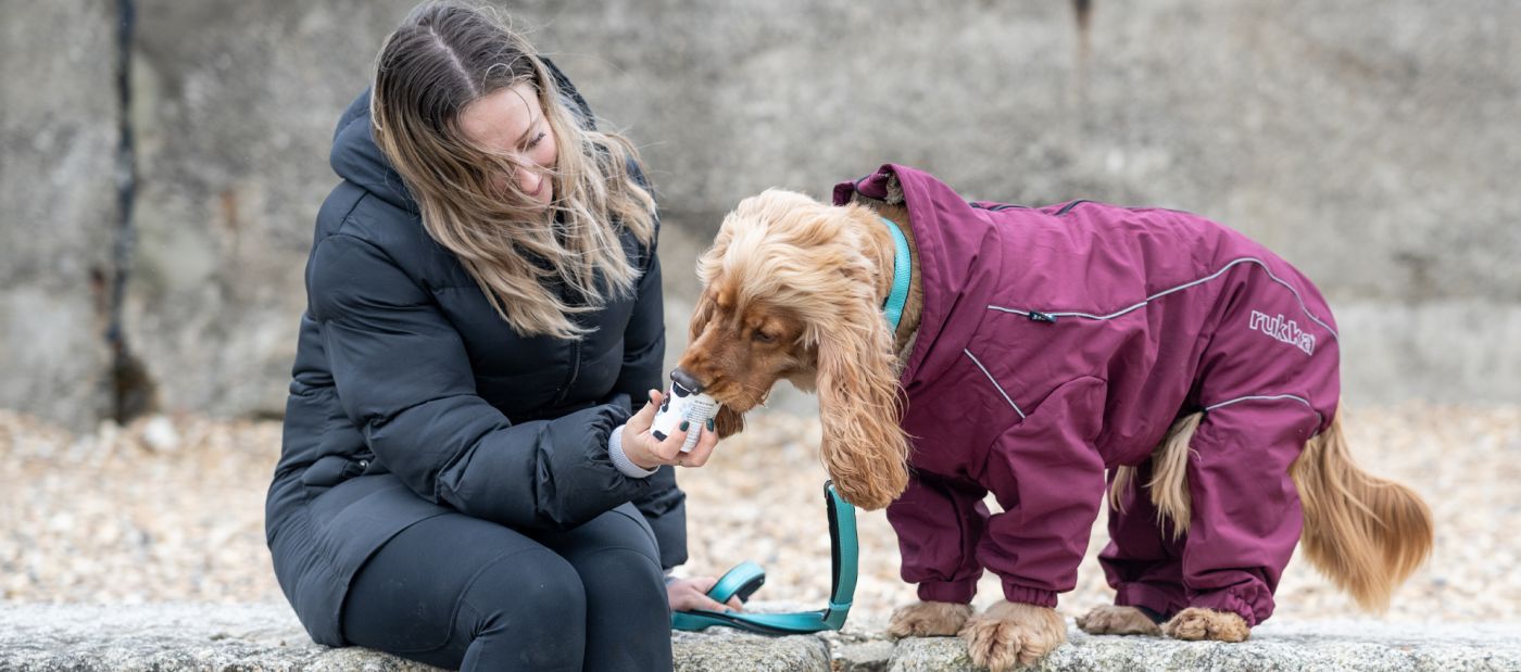 Rukka Pets knows how much owners love their pets