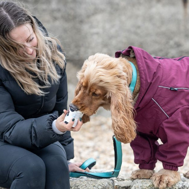 Rukka Pets knows how much owners love their pets
