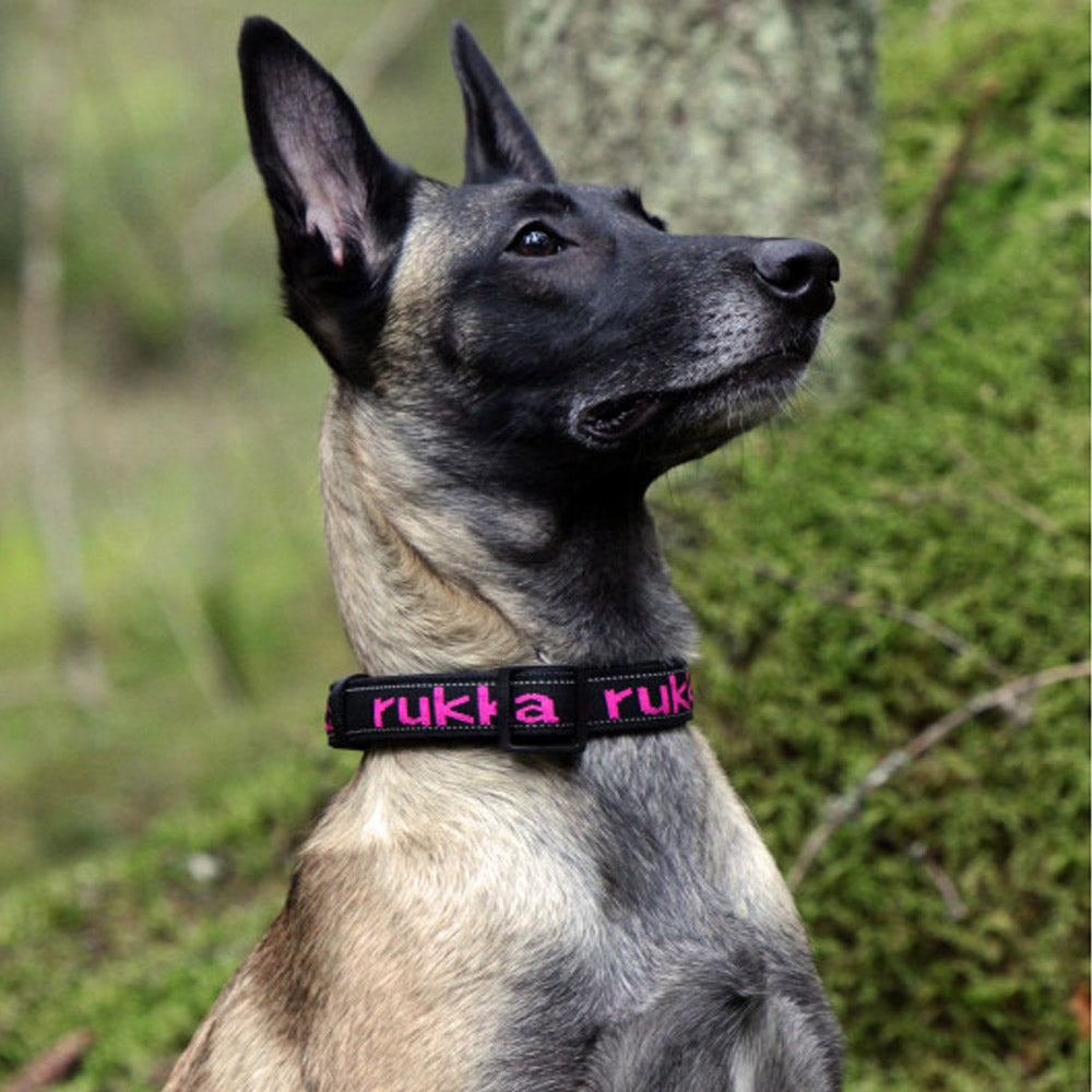 Rukka Pets Collar Range