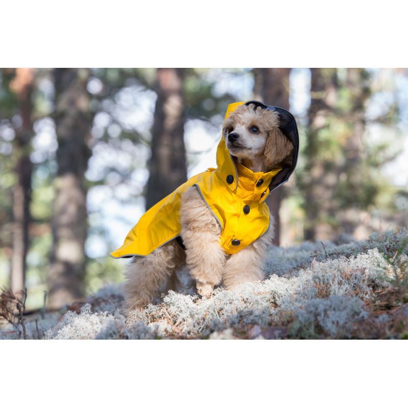 Rukka Pets Stream Waterproof Yellow Dog Raincoat