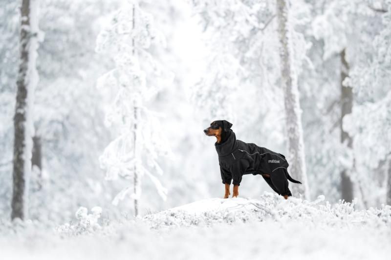 Rukka Pets Thermal Overall 2.0 Black