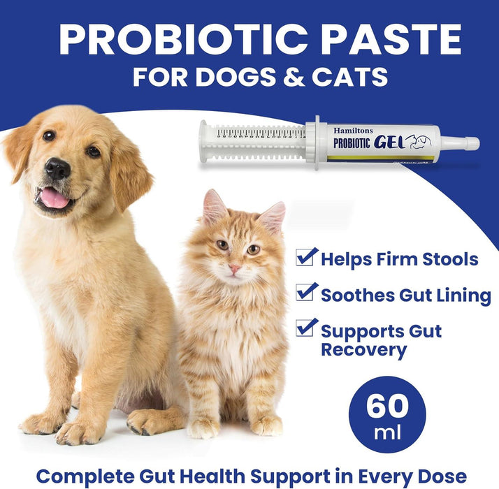 Hamiltons Probiotic Paste Gel for Dogs and Cats Chicken Flavour 60ml