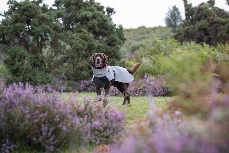 Rukka Pets Dog Shine Raincoat Reflect Grey