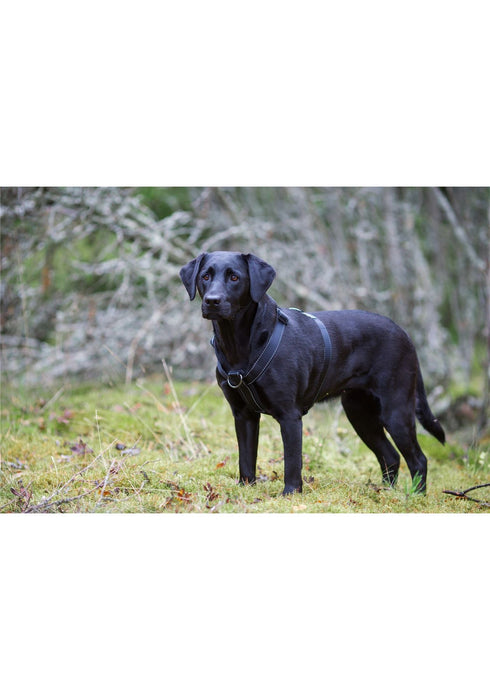 Rukka-gæludýraform Ergonomic Adjustative Adventure Dog Harness Black.