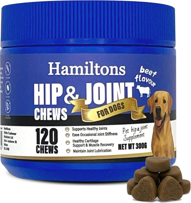 Hamiltons Hip & Joint Supplement 120 Treats for Dogs – Glucosamine, Chondroitin, Green Lipped Mussel & MSM Supplement for Mobility flexibility Support-Aids Stiff joints -Beef Flavour Chews
