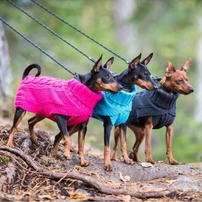 Rukka Pets Wooly Luxury Knit Extra Warm Comfy Dog Jumper Turquoise