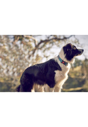  – size 30x50cmx25mm(m)