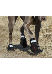  – size 5-58mm