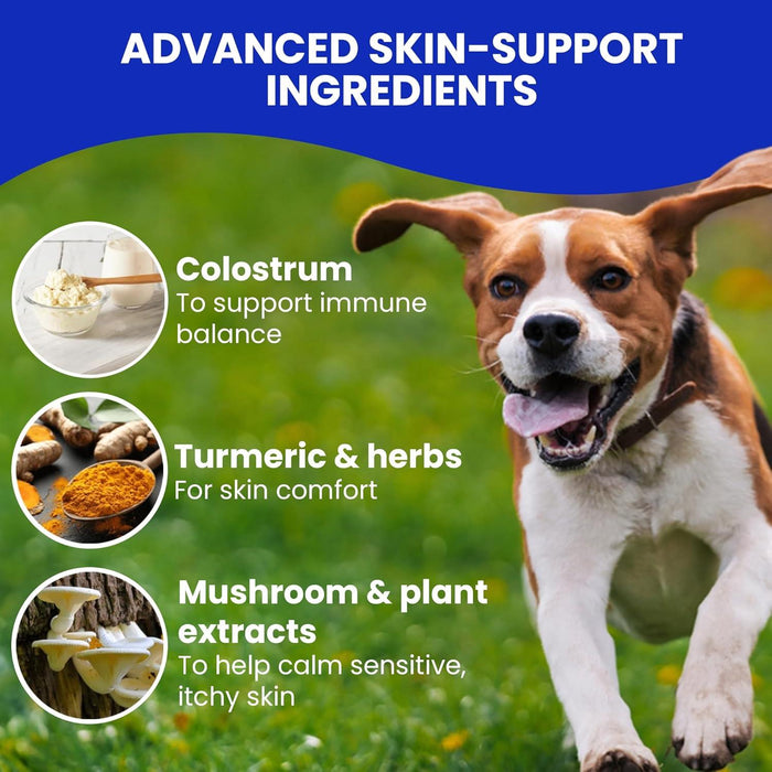 Hamiltons Allergy & Itch Chews for Dogs 120 Immune Support Soft Chews, For Itchy Skin, Seasonal Allergies & Sensitive Dogs