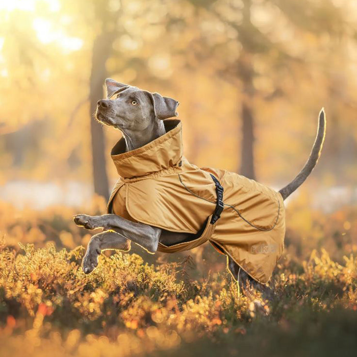 Rukka Pets Stormy Coat Honey