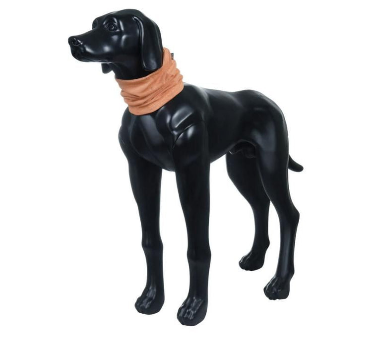 Rukka Pets Cooling Tube Papaya