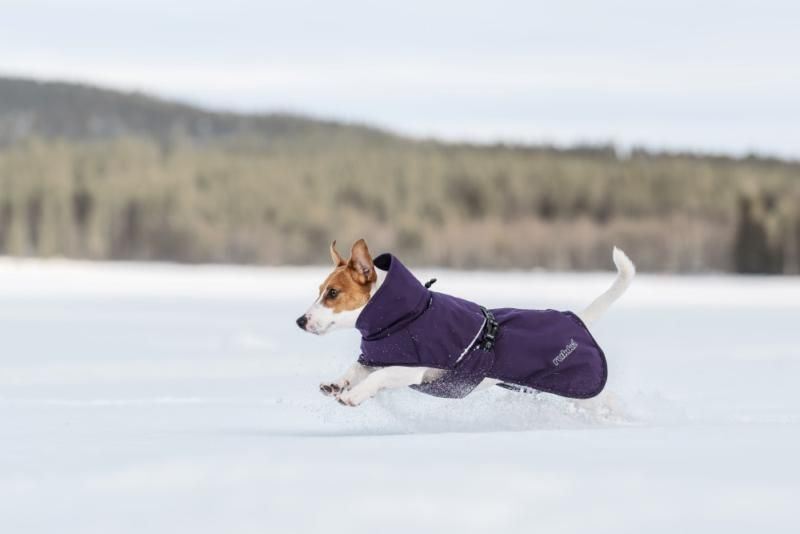 Płaszcz Rukka Pets Trust Foil Plum