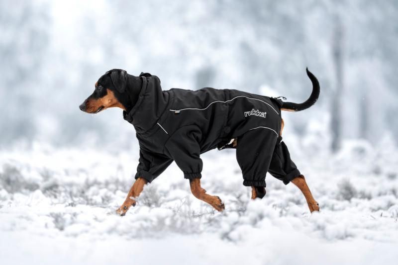 Rukka Pets Thermal Overall 2.0 Black