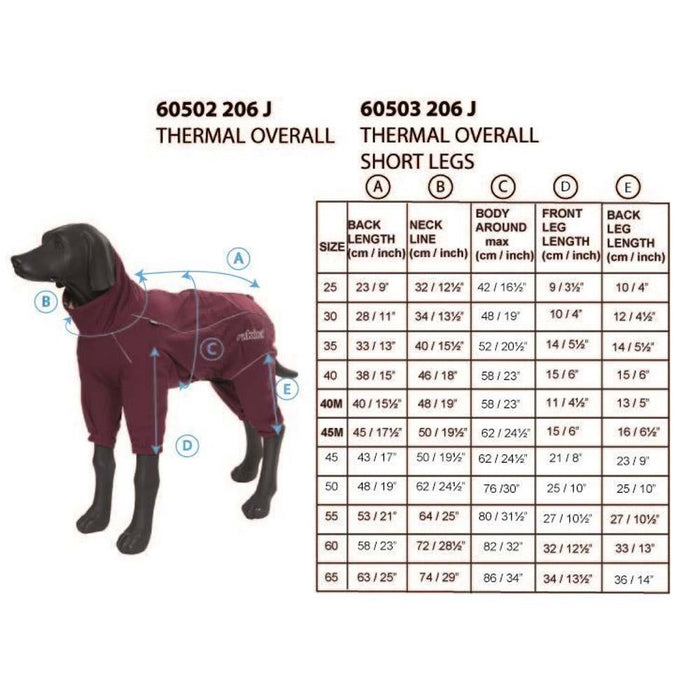Combinaison thermique d'hiver coupe-vent pour chien Rukka Pets Thermal Adventure Bordeaux 