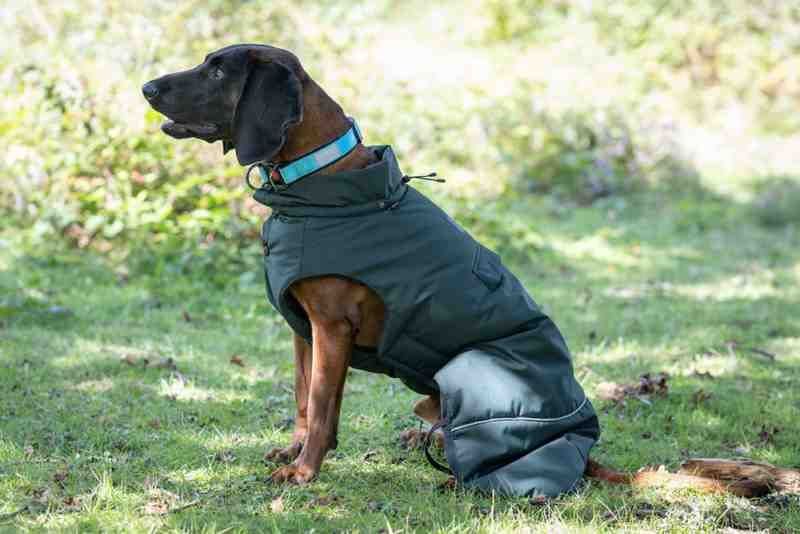 Rukka Pets Dog Frostbiter Parka Forest