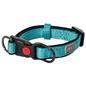 Collier pour chien solide et réglable turquoise de Rukka Pets