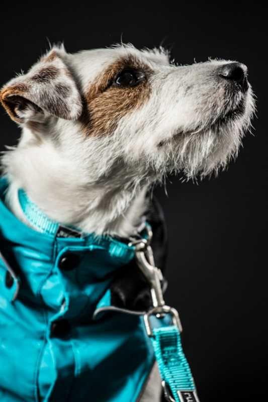 Rukka Pets Rukka Pets Pets Stream Ocean Raincoat – Premium Dog Accessory UK – premium dog gear for UK pets – size 30
