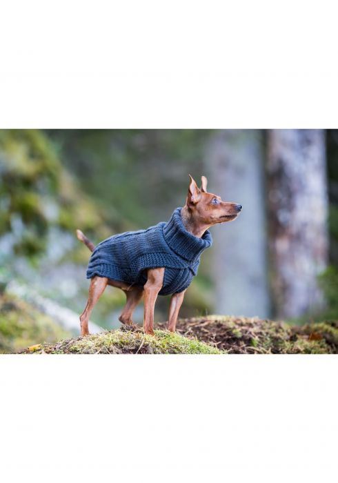 Pull en laine de luxe pour chien Rukka Pets, très chaud et confortable, gris 