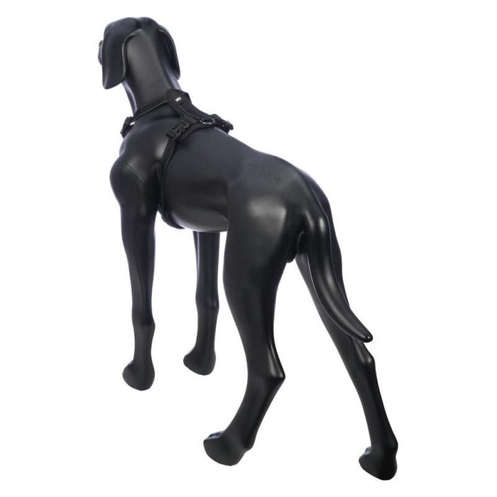 Rukka Pets Bliss Harness Black