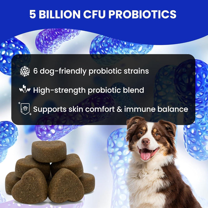 Hamiltons Allergy & Itch Chews for Dogs 120 Immune Support Soft Chews, For Itchy Skin, Seasonal Allergies & Sensitive Dogs