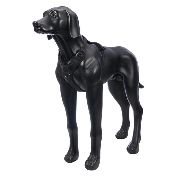 Rukka Pets Bliss Harness Black