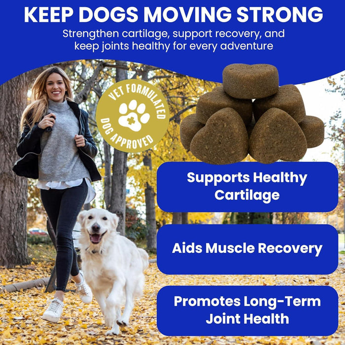 Hamiltons Hip & Joint Supplement 120 Treats for Dogs – Glucosamine, Chondroitin, Green Lipped Mussel & MSM Supplement for Mobility flexibility Support-Aids Stiff joints -Chicken Flavour Chews