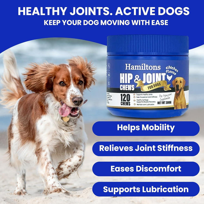 Hamiltons Hip & Joint Supplement 120 Treats for Dogs – Glucosamine, Chondroitin, Green Lipped Mussel & MSM Supplement for Mobility flexibility Support-Aids Stiff joints -Beef Flavour Chews