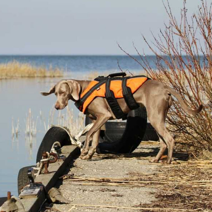 Rukka Pets Safety Lightweight Durable Dog Life Vest Orange