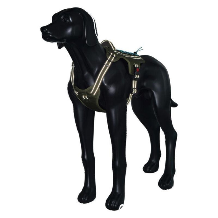 Rukka Rukka Bliss X Trek Dog Harness – Army Green – Reflective & Adjustable Dog Harness UK