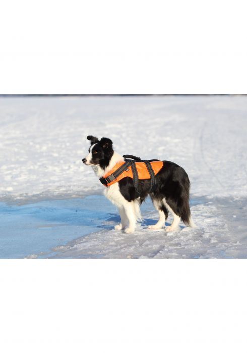 Gilet de sauvetage léger et durable pour chien Rukka Pets Orange