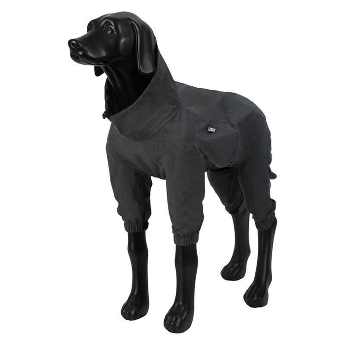 Combinaison Flash pour chien Rukka Pets Gris