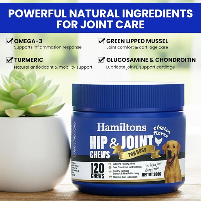 Hamiltons Hip & Joint Supplement 120 Treats for Dogs – Glucosamine, Chondroitin, Green Lipped Mussel & MSM Supplement for Mobility flexibility Support-Aids Stiff joints -Chicken Flavour Chews