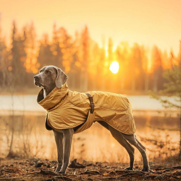 Rukka Pets Stormy Coat Honey