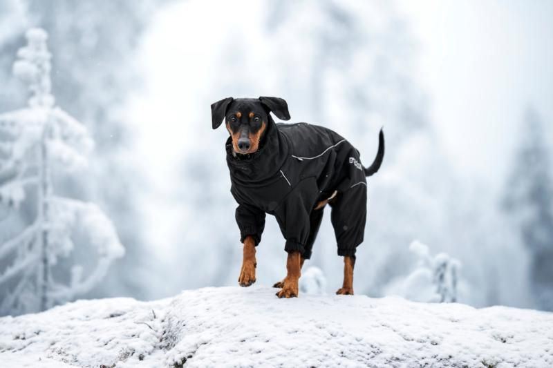 Rukka Pets Thermal Overall 2.0 Black