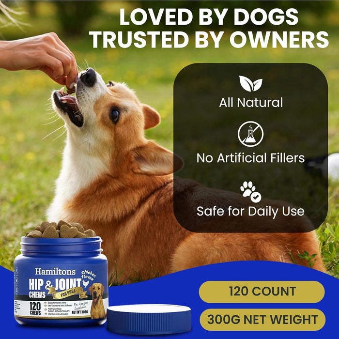 Hamiltons Hip & Joint Supplement 120 Treats for Dogs – Glucosamine, Chondroitin, Green Lipped Mussel & MSM Supplement for Mobility flexibility Support-Aids Stiff joints -Chicken Flavour Chews
