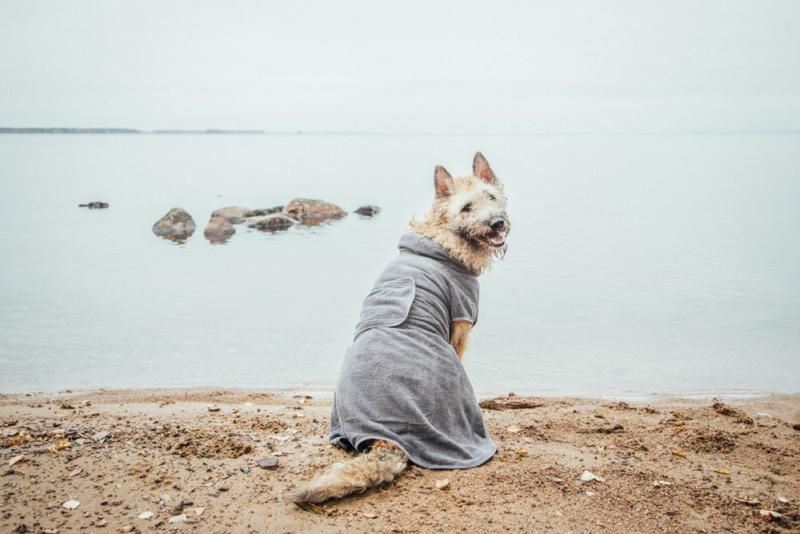 Rukka Pets Micro Light Grey Dog Bathrobe