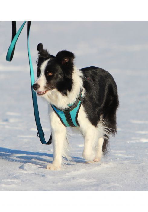 Rukka Pets Solid Adjustable Durable Adventure Dog Harness Turquoise