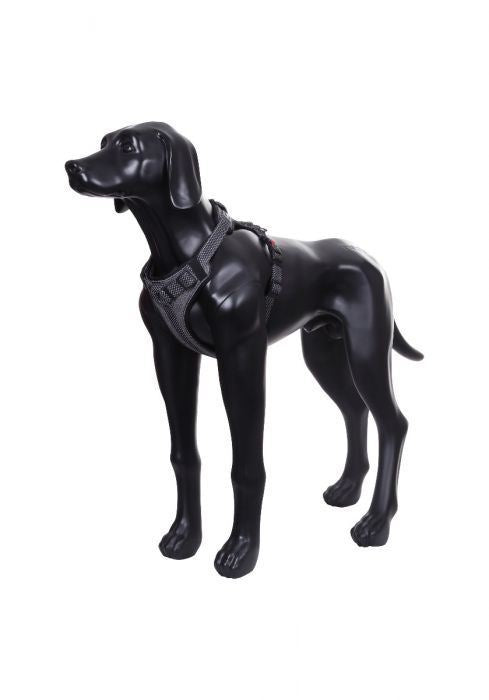 Rukka Pets Star Adjustable Durable Comfy Adventure Dog Harness Black