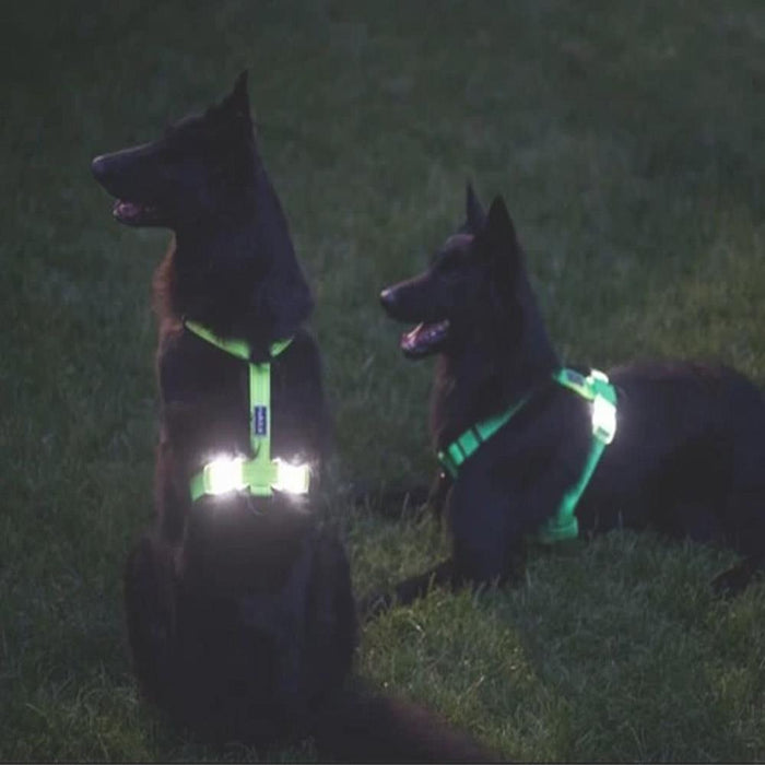 Rukka Pets Neon Light Yellow Hunda Harness