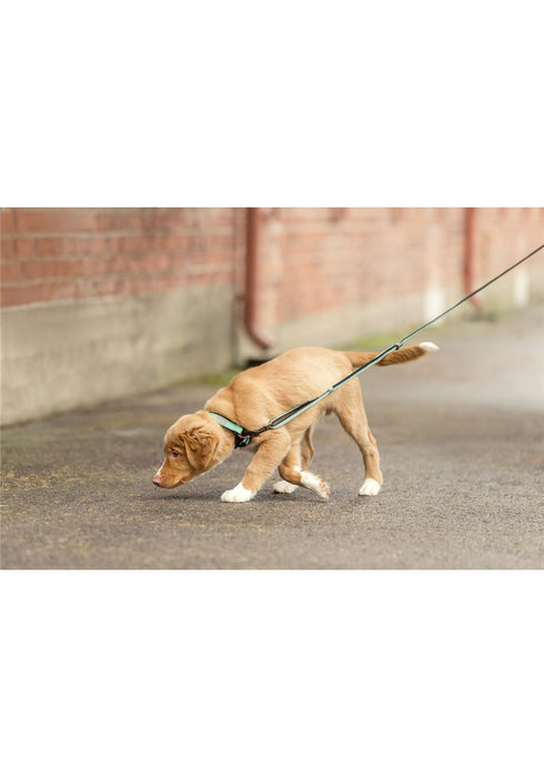 Rukka Pets Solid Adjustable Reflective Durable Dog Leash Turquoise