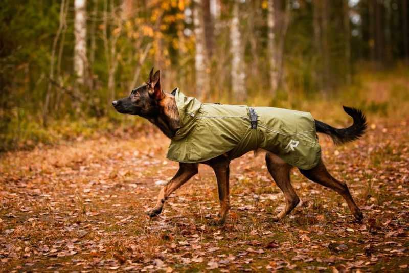 Rukka Pets Dog Sky Green Waterproof Raincoat