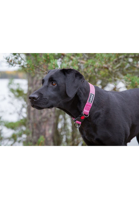 Rukka Pets Star Durable Adjustable D Ring Safety Lock Dog Collar Hot Pink