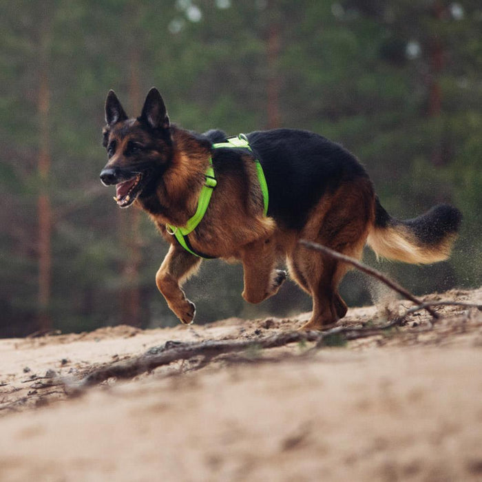 Rukka Pets Form Neon Yellow Comfy Dog Harness