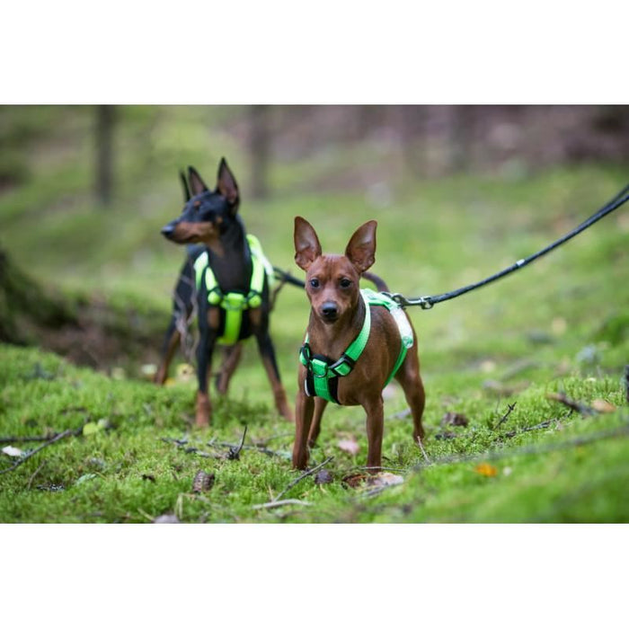 Rukka Pets Neon Light Yellow Dog Harness