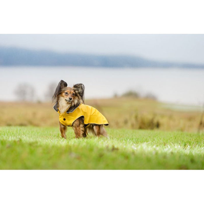 Rukka Pets Stream Waterproof Yellow Dog Raincoat