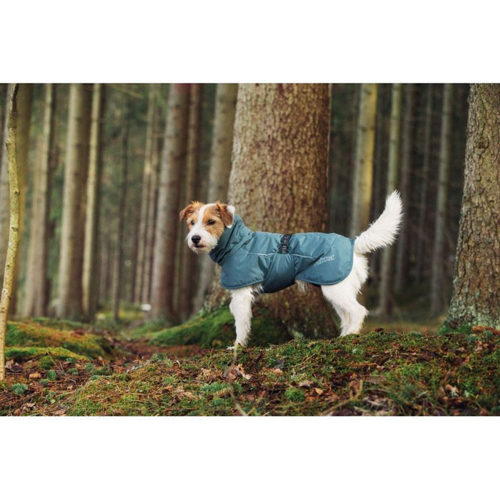 Rukka Pets Stormy Warm Olive Dog Jacket