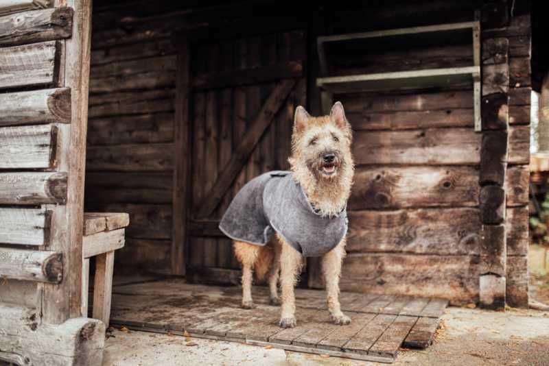 Rukka Pets Micro Light Grey Dog Bathrobe