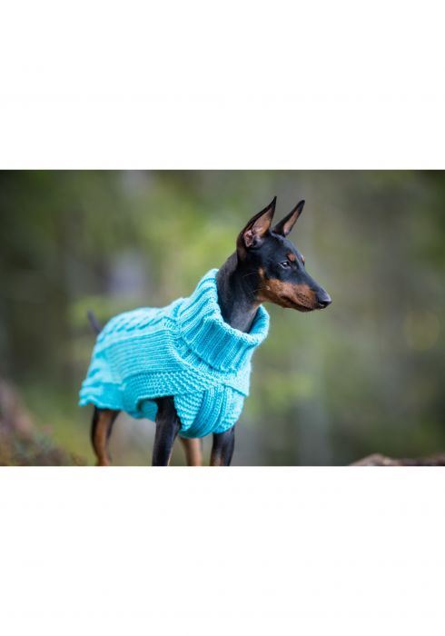 Rukka Pets Wooly Luxury Knit Extra Warm Comfy Dog Jumper Turquoise